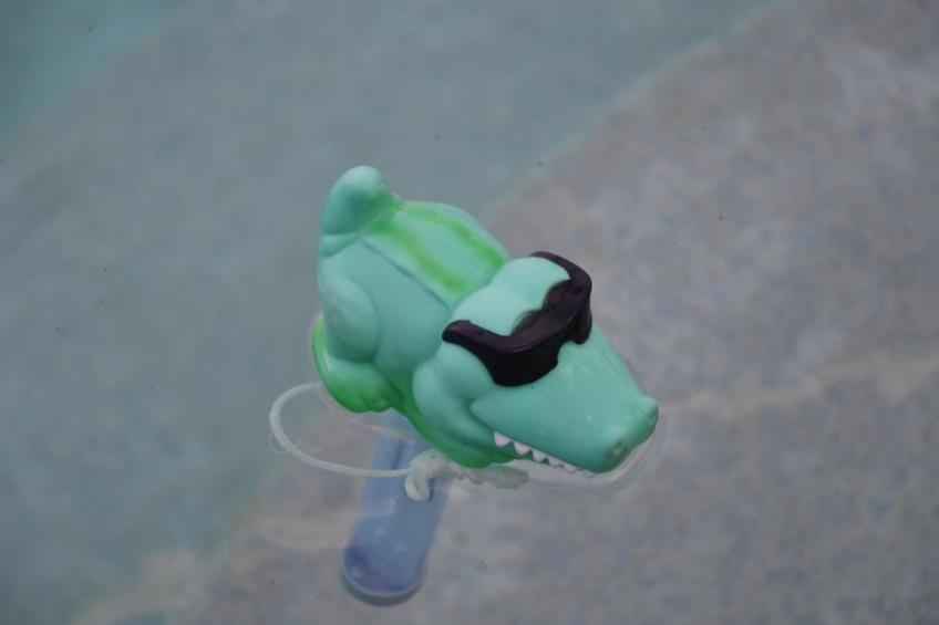 Familienfreundliche Villa nahe der Disney-Parks - foto 8