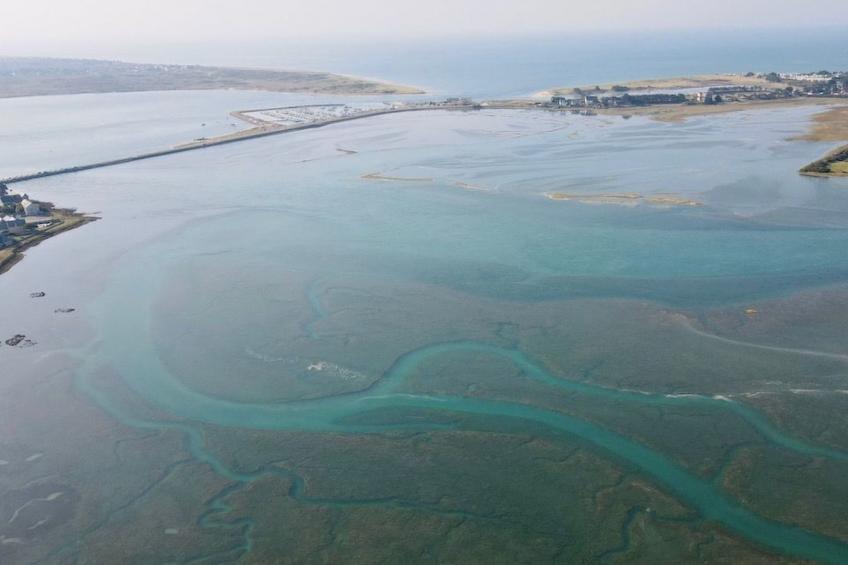 Haus Havre in Portbail - foto 19