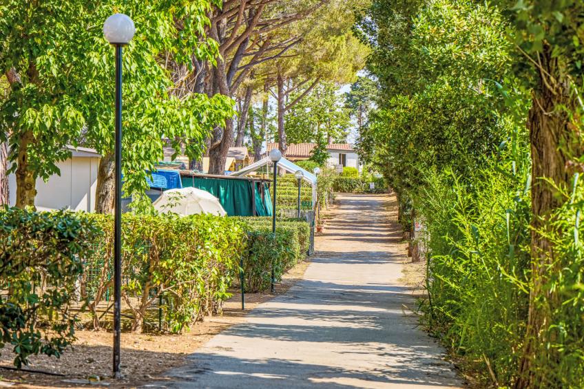 Costa D'Argento - foto 34