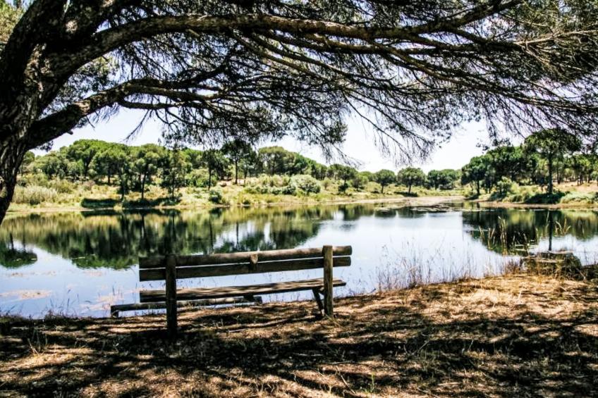 Herdade de Montalvo - foto 19