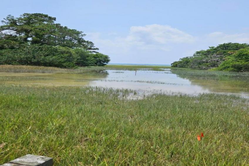 Résidence La Clé des Cimes 4 - foto 32