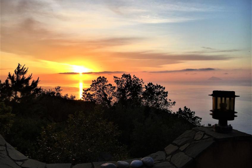 Flache Zeder - foto 32