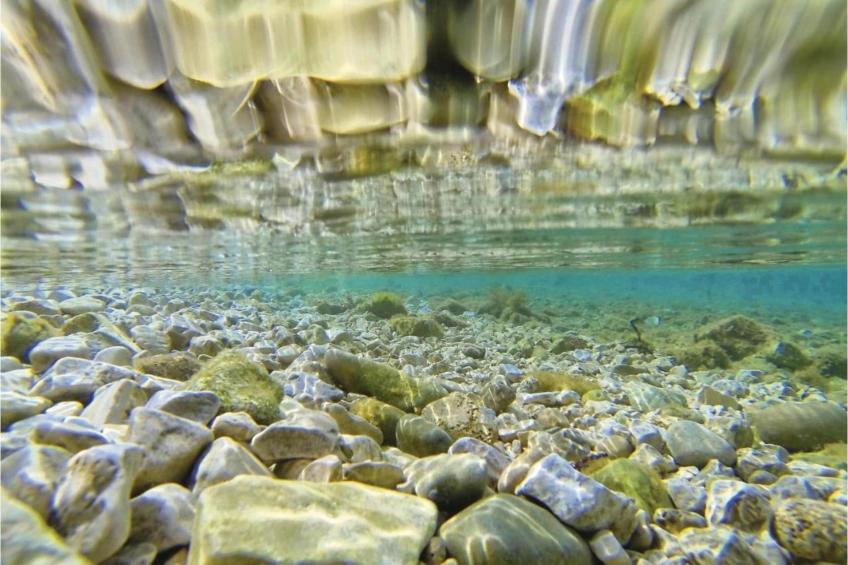 Mediterano 4 - foto 39