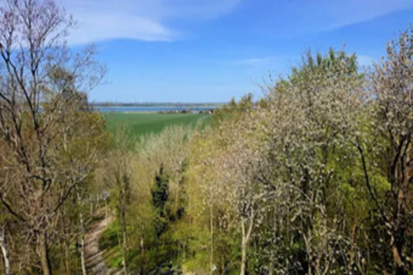 Holiday home Lotsenhaus, Vieregge - foto 32