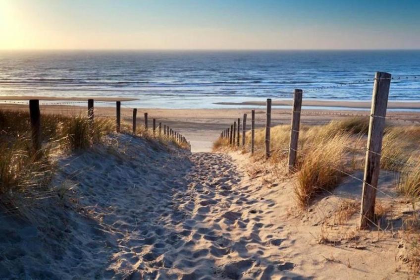 Parel aan de Duinen 8p - foto 39