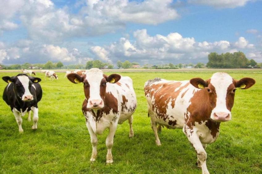 Buitenplaats Holten 17 - foto 32