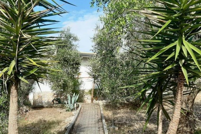 mit Garten und Kinderschwimmbad - foto 39