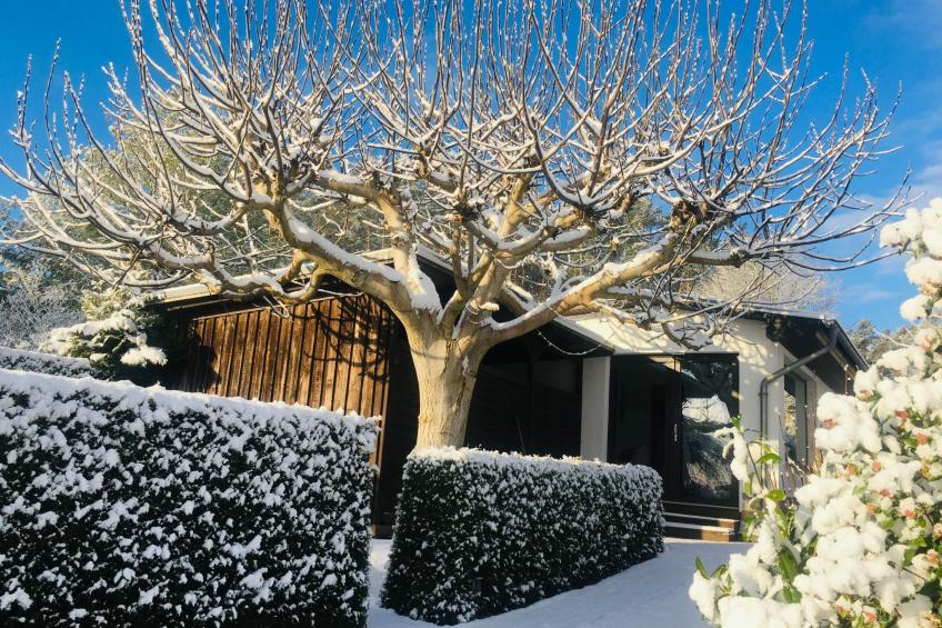 Seeresidenz - foto 29