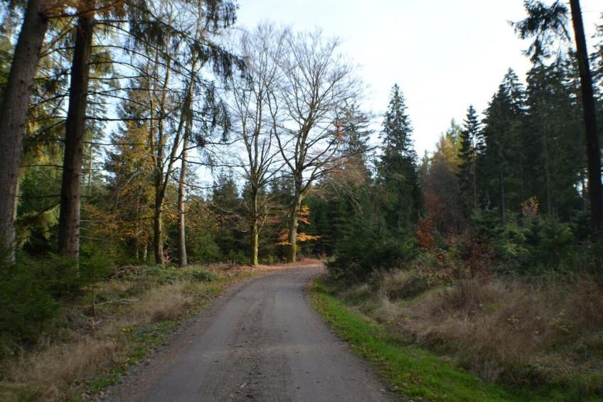 410824 - foto 32