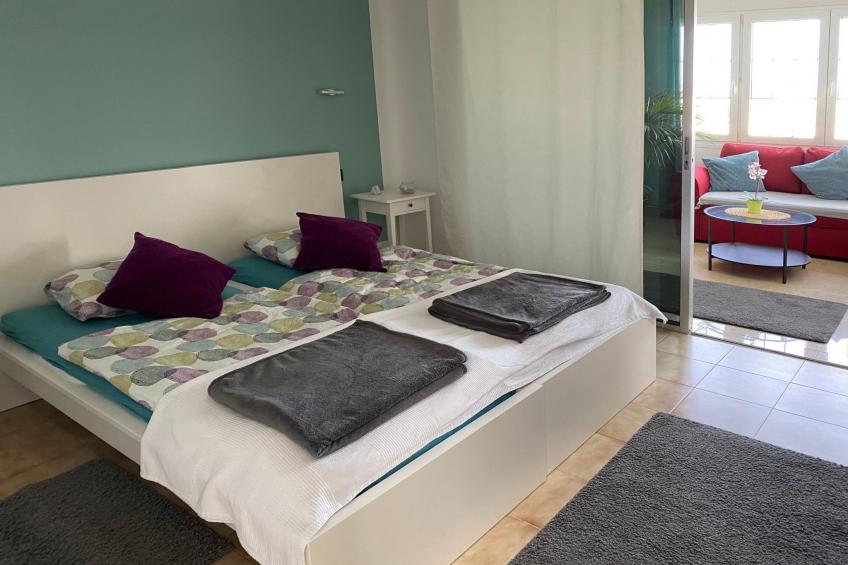 La Palmita mit Meerblick - foto 27