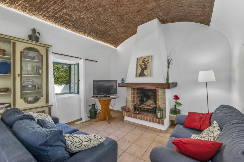 Jardim do Sul - foto 9