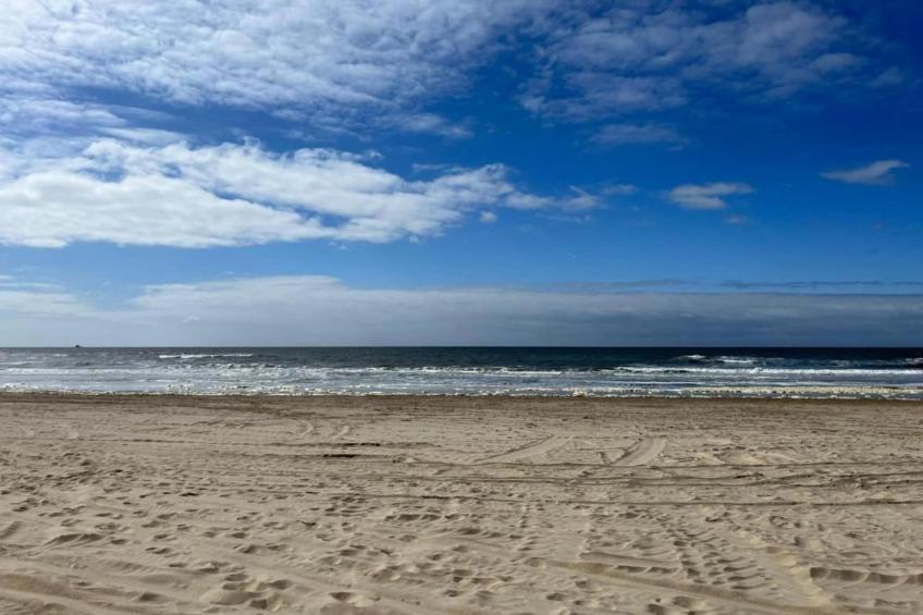 Campanula 171 - foto 11