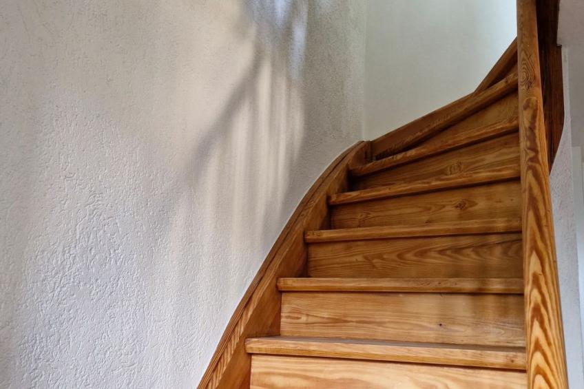 Schwarzwald Königin - foto 23