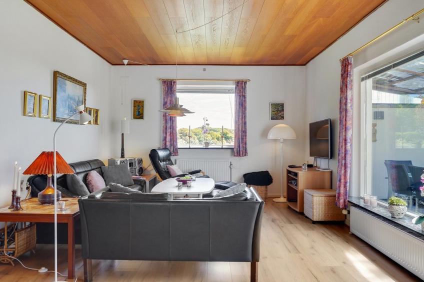 "Slavjanka" - 2km from the sea in Lolland, Falster and Mon - foto 2