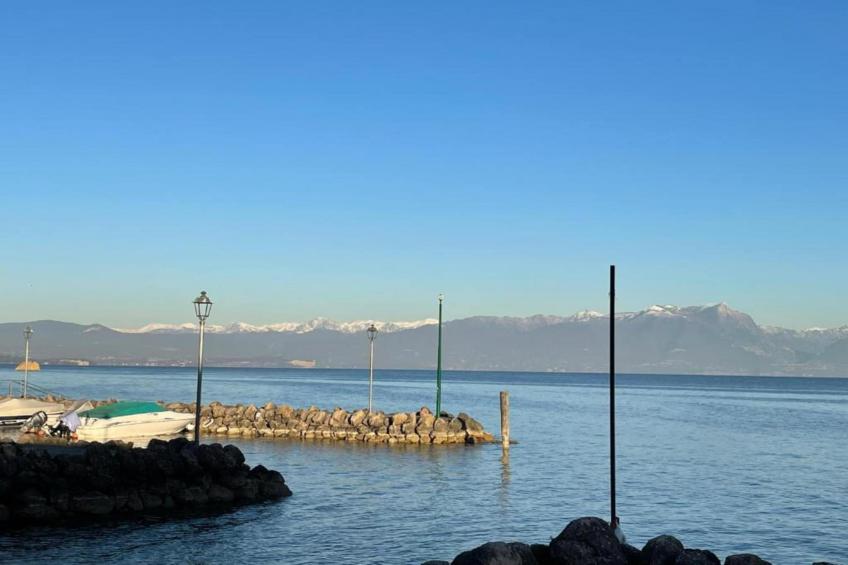 Jolly Mono - foto 26