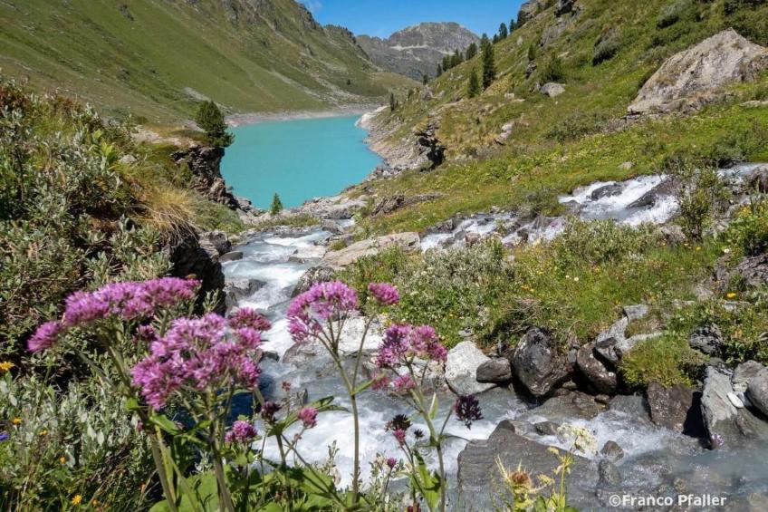 Chalet Arnica - foto 26