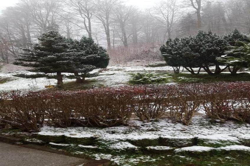 Thüringer Wald - foto 19