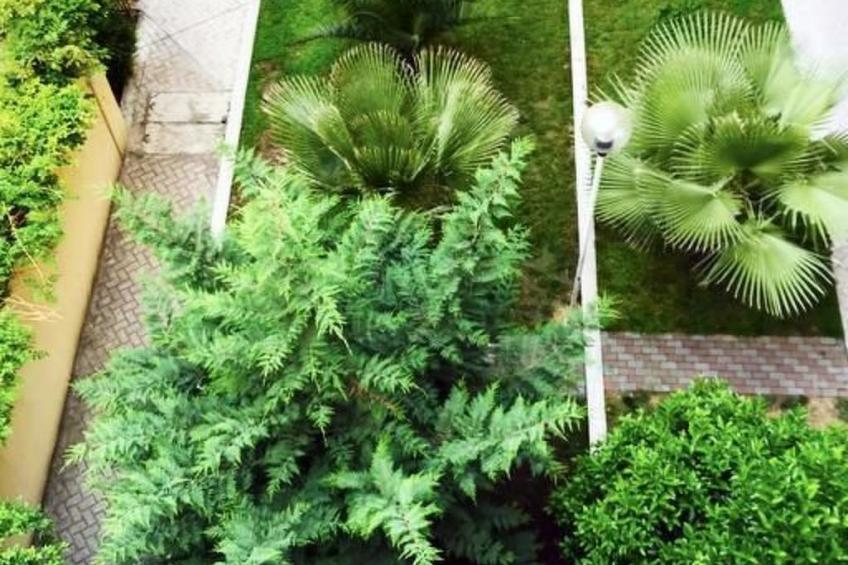 in Zona1 mit Garten - foto 16