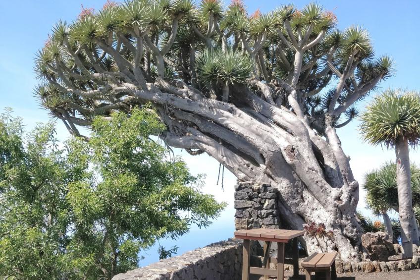 Nettes Ferienhaus in Tijarafe mit Privatem Pool und Panoramablick - foto 42