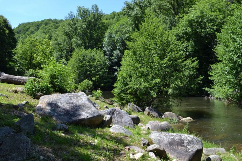 LA CABANE DES REVES - foto 9