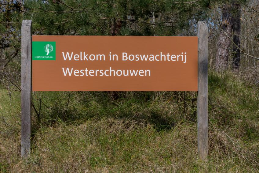 Duinhoeve Chalet Zeeland (huisdier toegestaan) - foto 36