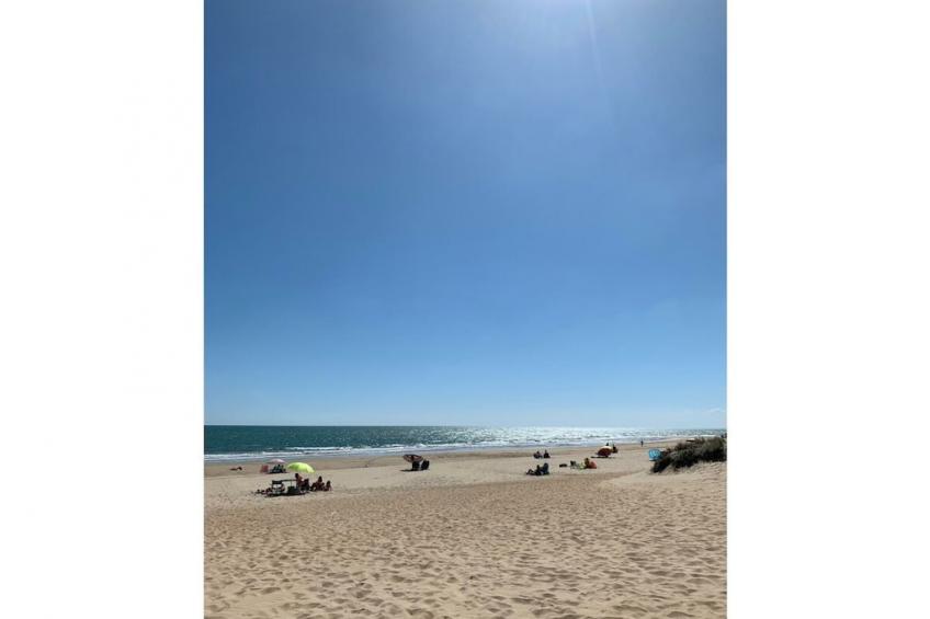 288148 - foto 17