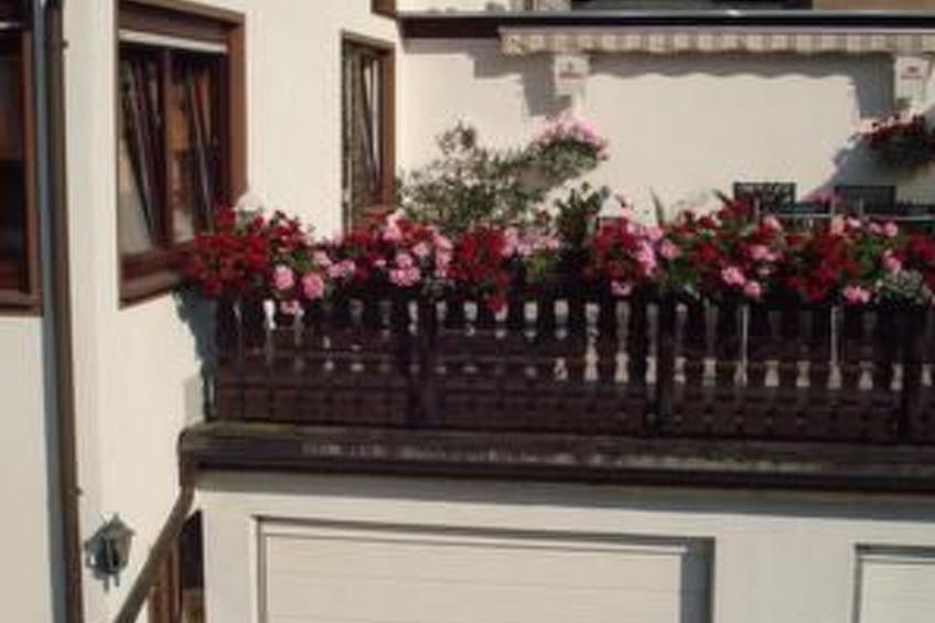 Helle Wohnung in Frankenhain mit Grill - foto 21