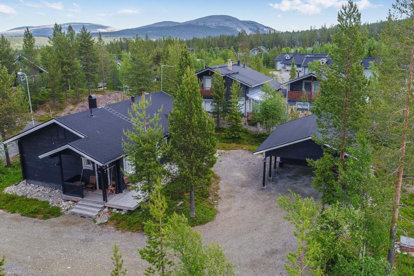 Tuulenpuuska - foto 5