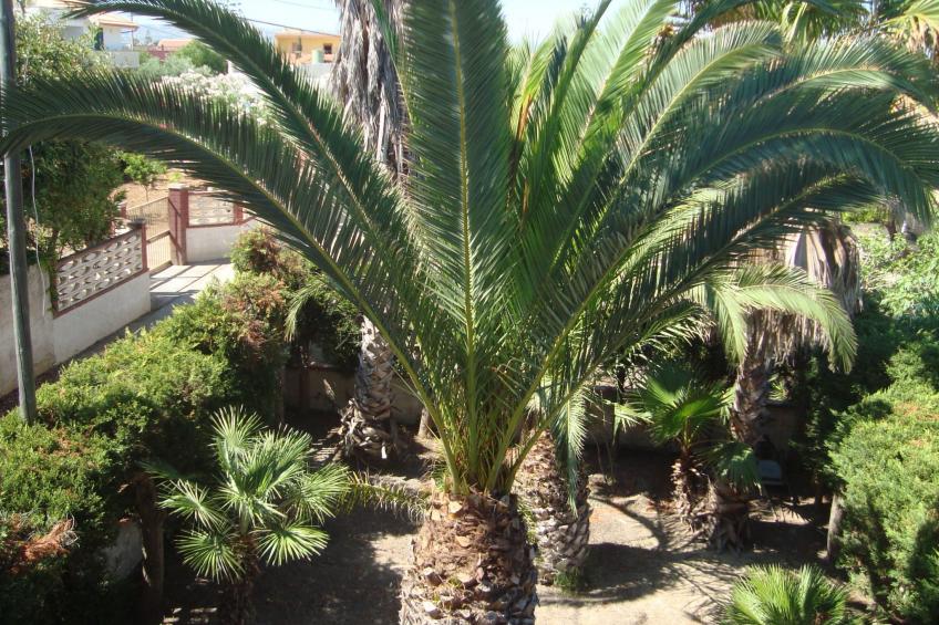 Villa Degli Angeli mit Blick auf das Meer - foto 32