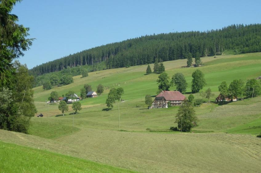 56425 - foto 5