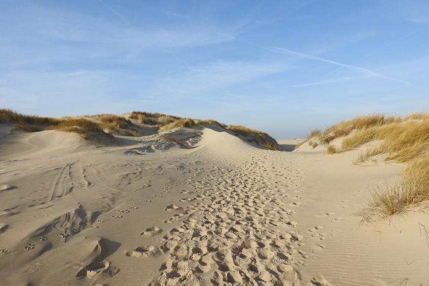 Vakantiepark 't Eibernest Texel 1 - foto 30