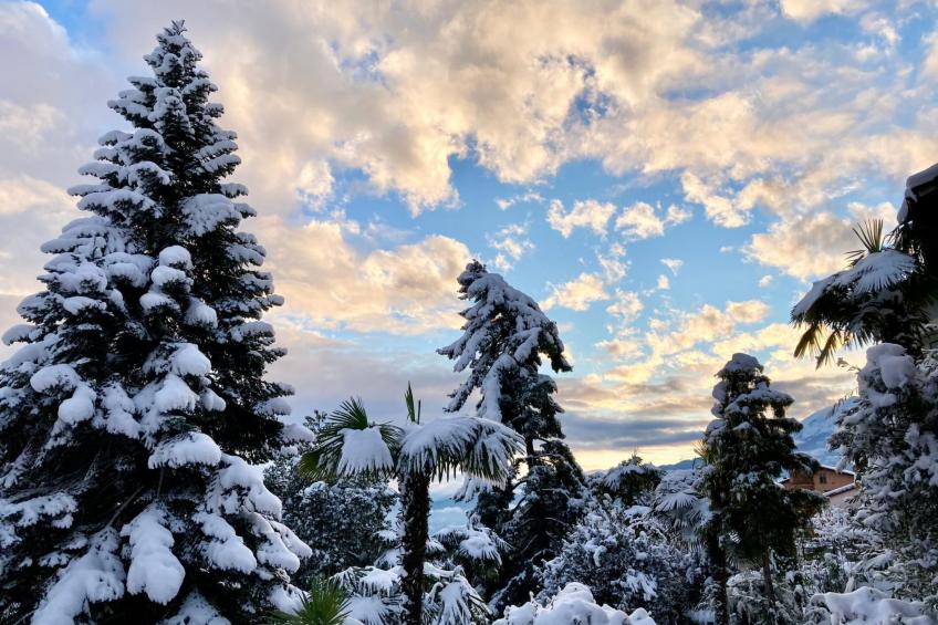 Casa Reduit Giardino - foto 18