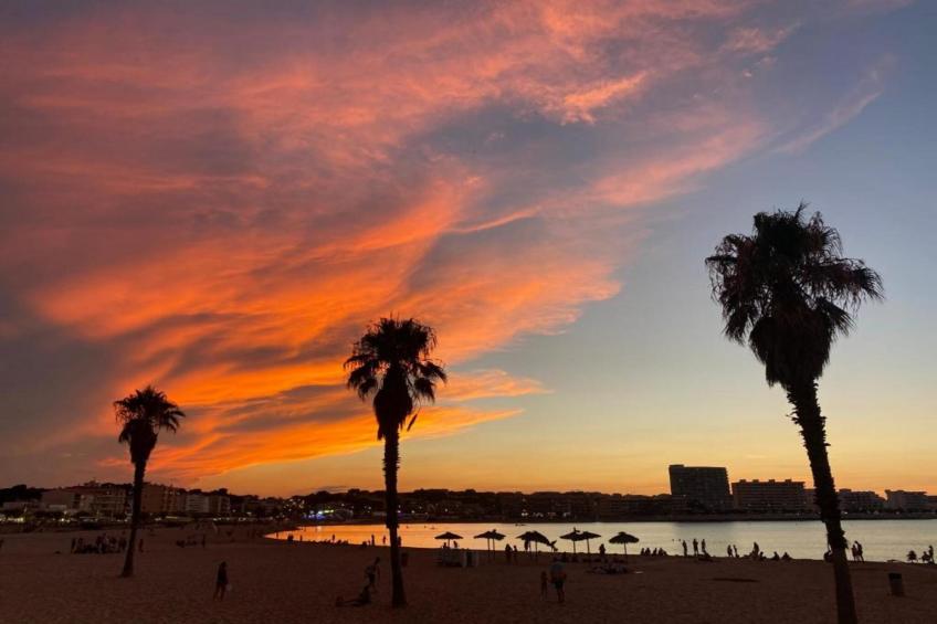 Nomad Harmonia - foto 23