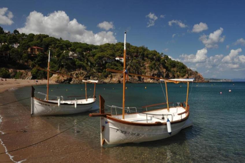 Ancora 14 B-1 - foto 30