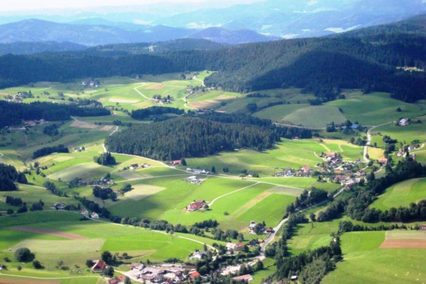 Meisdorf II - foto 17