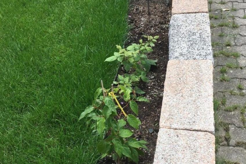 Große Ferienwohnung in Gosberg mit Terrasse, Garten und Grill - foto 9