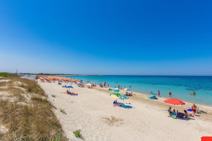 Flaches Meer aus Kiefernholz - foto 30