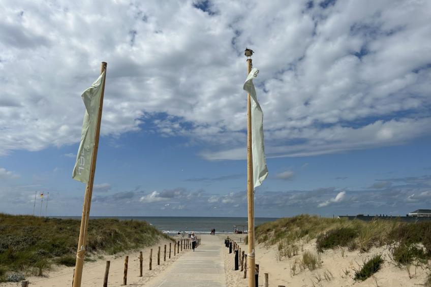 de Witte Raaf - foto 16