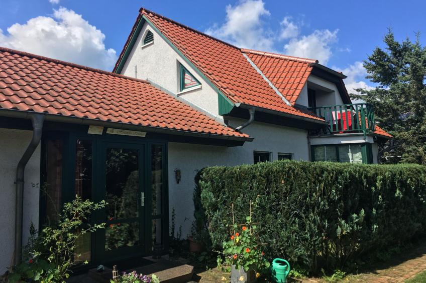 Löwenzahn mit Holu - foto 18