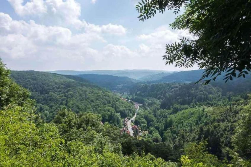 Ferienwohnung Thale - foto 38