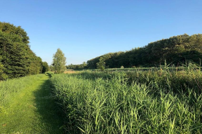 Resort de Parel 16 - foto 29