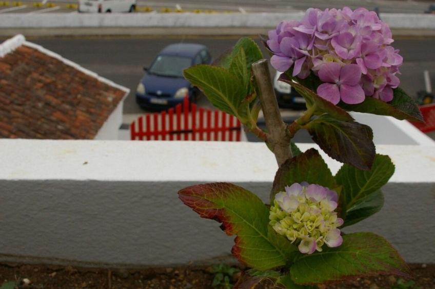 Beach Mill - foto 25