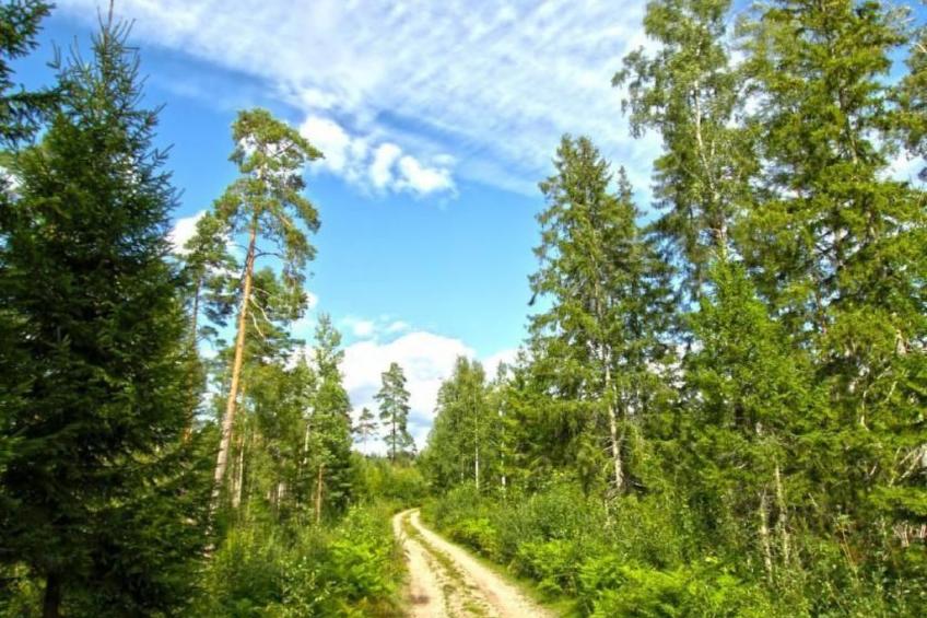 mit Wasserblick - foto 19