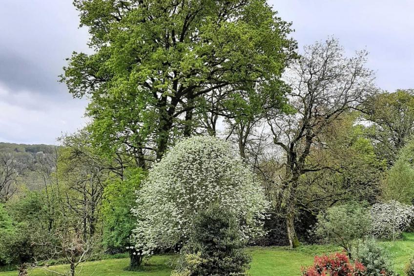 16 Chez Rambaud - foto 38