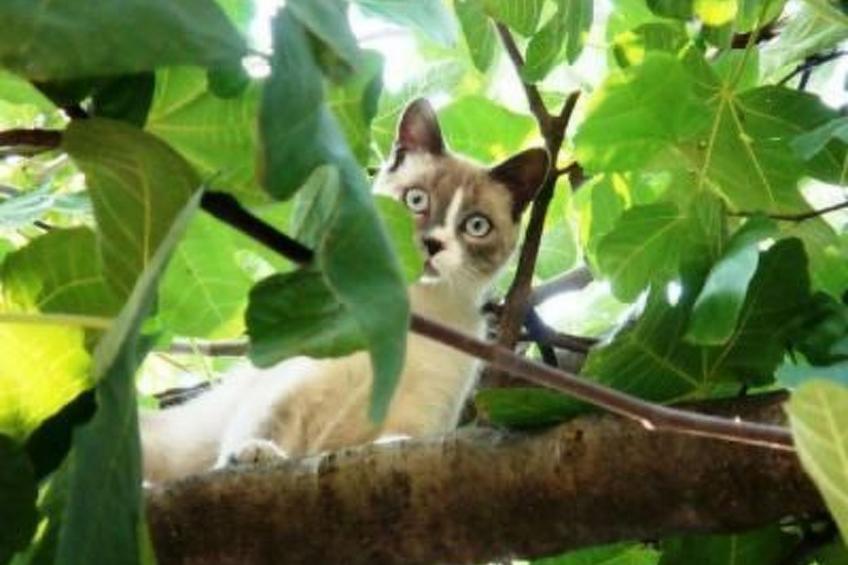 mit großer Terrasse - foto 16