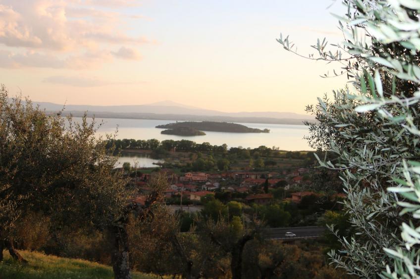 Renovierte Wohnung - foto 17