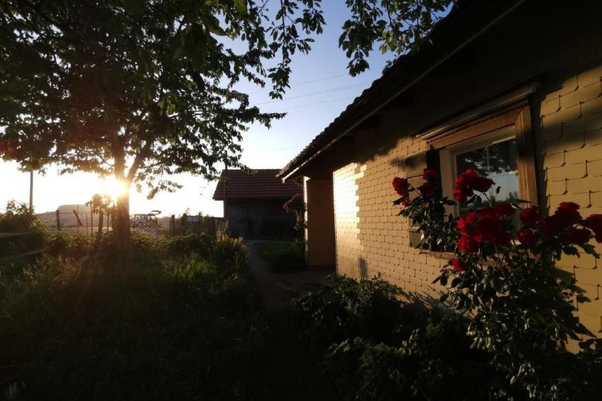 Tiererlebnishof Windegg - foto 33