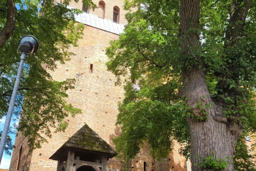 Stadtperle in Bad Sülze - foto 28