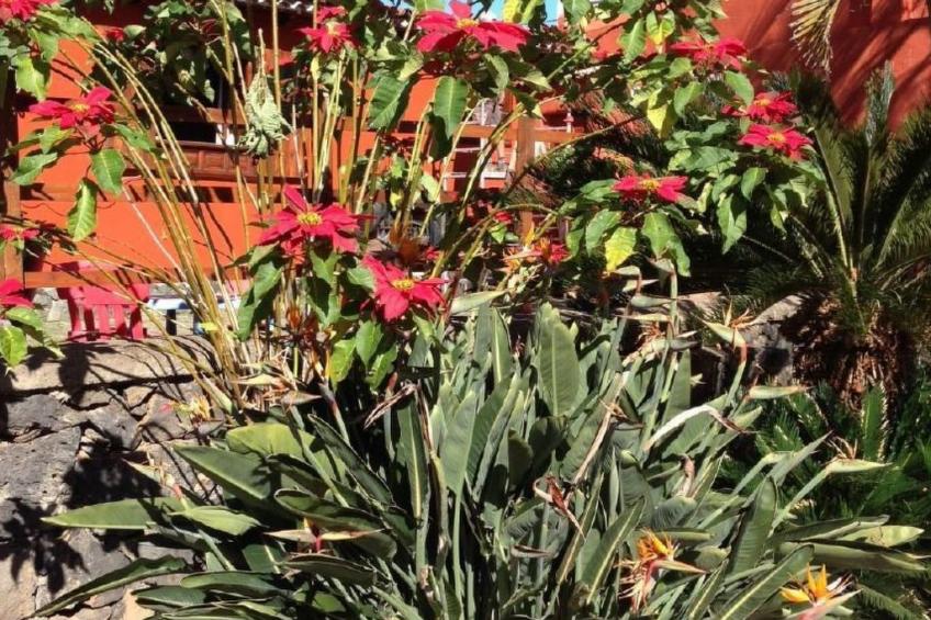 Finca Los Vinedos - foto 24