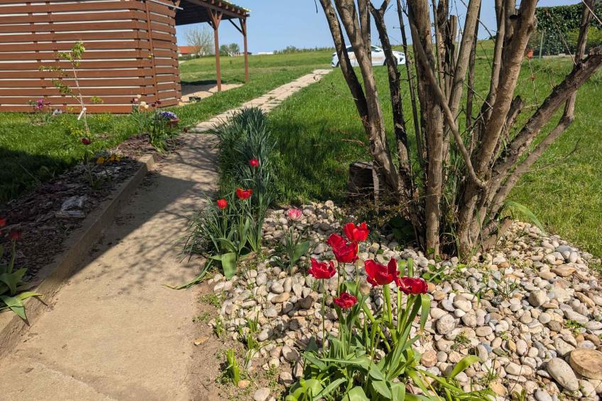 Ferienwohnung mit ruhiger Lage und Ausblick auf den See - BF-VRDPR - foto 5